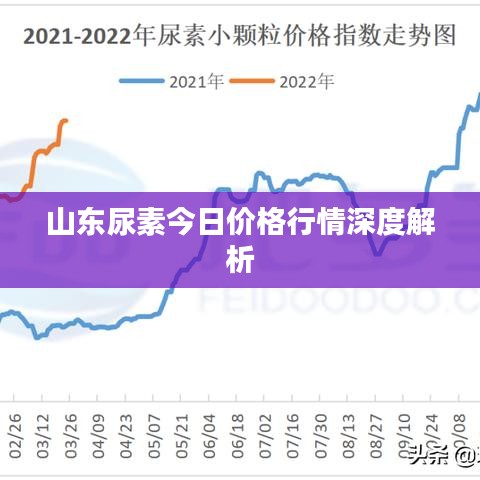 山东鲁西尿素最新价格